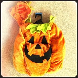 Dog Halloween Pumpkin costume